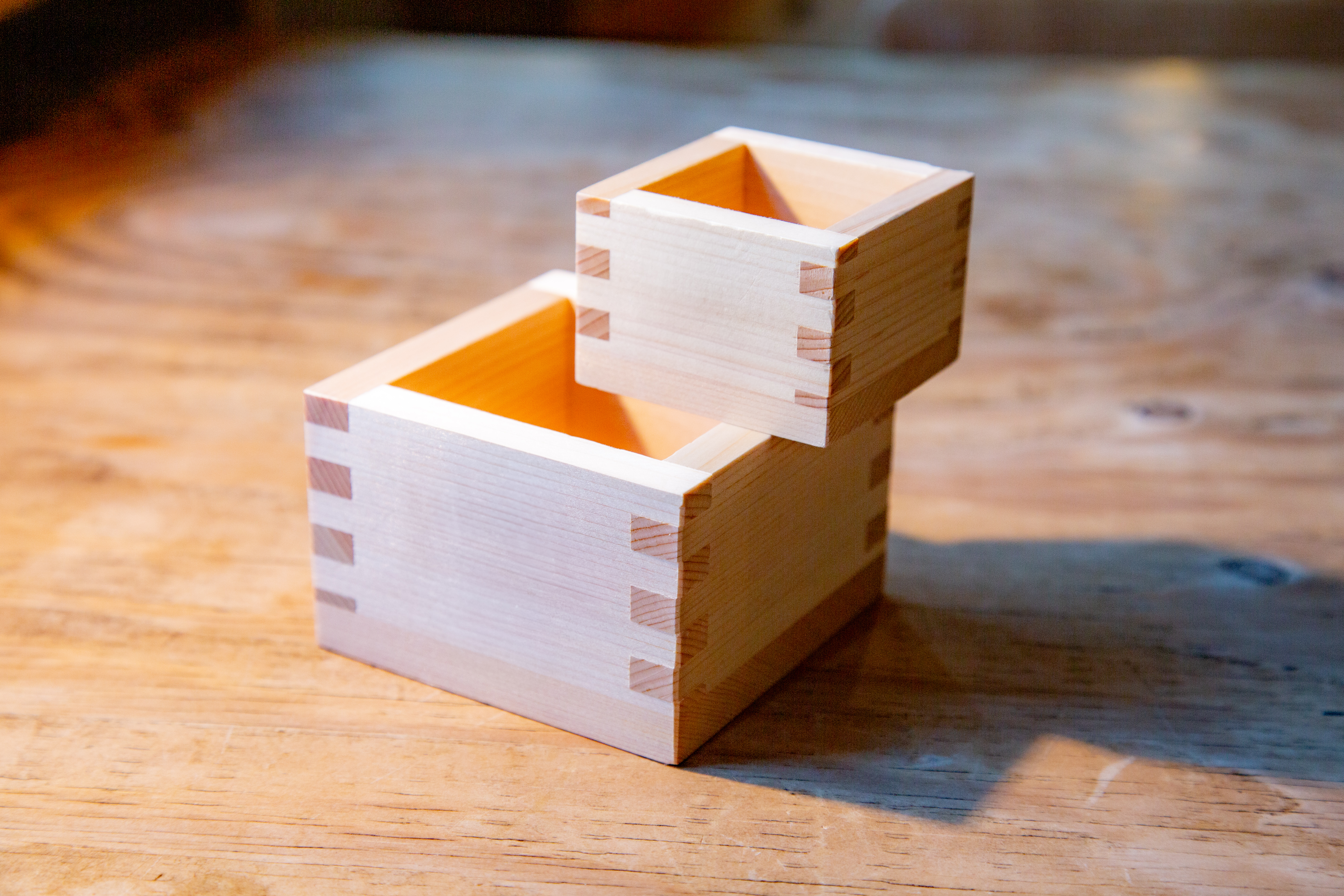 Basic MASU